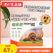 Excellent Paved Blessing for in vitro Insect Repellent Small Dog Pooch Doggy Teddy Bib Bear Bombshell Meds