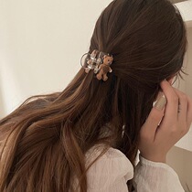 Cute bear hair clamp behind the head grip net 2022 new high horse tail fixed artifact clamp shark clamp