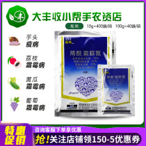 Nopsin Jingmaremoryl Morpholine Froth Cyanide Grape Cucumber Downy Mildew Taro Tomato Pesticide Fungicide