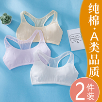 Small vest female girls underwear children developmental primary school students cotton Senior high school adolescent bra