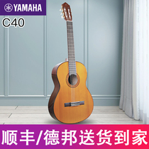 YAMAHA Yamaha guitar CX40 CS40 CM40 Childrens entry students with male and female students classical guitar