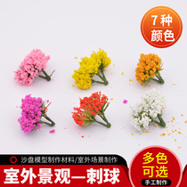 DIY handmade sand table building outdoor miniature with landscape material plant model flowers and plants simulation Thorn ball
