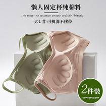 Pure cotton underwear girl with small breast clustering fixed cup in one summer thin steel-free ring anti-dropping beautiful backches