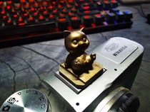 Animal cute cat customization for Leica Fuji Sonbinder camera hot boot protection cover