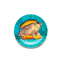 SELETTI Italy Toiletpaper Ceramic Dinner Plate Decorated Disc Trick Toad Cool Single