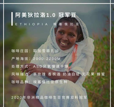 [咖啡生豆2025产季埃塞俄比亚耶加雪菲孔佳慢速日晒G1原材料1公斤]