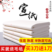 Yuchen Anhui Jingxian Xuan paper special paper calligraphy paper works paper for beginners writing paper Xuanshu Chinese painting meticulous painting small Kai practice paper antique four feet half-cooked rice paper
