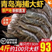 Shrimp fresh and oversized Qingdao Great Shrimp Sea Trapeze Shrimp Fresh Shrimp Frozen Shrimp Sea Shrimp Prawn Prawn Shrimp 4 Cati