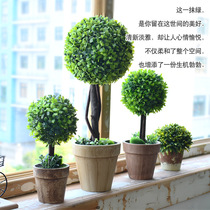 Swing Piece Home Simulation Plant Fake Suit Potted Potted Miniature Bonsai Flower Ball Indoor Living Room Green Plant Adornment West Restaurant