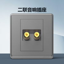 Positive Thai Sound Socket Panel 86 Type Concealed Sound Power Socket Sound Socket socket Two-wire socket Audio