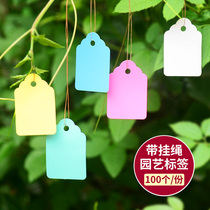 PVC waterproof gardening label flower tag plastic label hanging label color seedling plant label fleshy listing