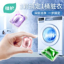 40 plant protection laundry beads left incense beads perfume long-lasting laundry detergent mixed laundry concentrated Net red bag