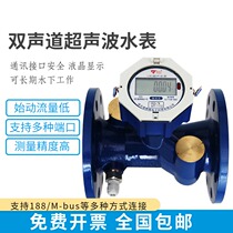 Large caliber dual track ultrasonic water meter dual power supply RS485 Intelligent far-transmission wireless acquisition of underwater work