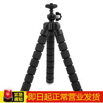Octopus portable tripod pan tilt bracket micro single digital SLR Camera Camera travel