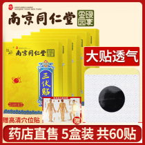 Nanjing Tongrentang Green Gold Homeland Sanfu patch Winter disease summer treatment acupuncture patch Plaster Wormwood Traditional Chinese medicine patch