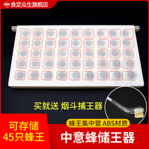 Bee Versatile Plastic Storage King 45 Queen Concentration Camp Storage Cell Bee Kingcage Beekeeping Tools