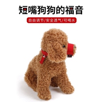 Teddy mouth dog anti-bite proof: drinkable water and disorder eating mask pet barking vessel gold hair