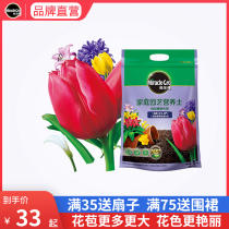 Melody tree vermilion red Hyacinth Lily tulip bulb special soil planting medium potted plant nutrient soil