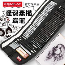 Mia grotesque charcoal pen special soft carbon sketch pencil set full set of students with entry tools medium hard carbon painting professional art students special beginner painting sketches 2b4b8b