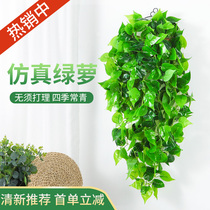 Interior decoration wall hanging green plant simulation hanging basket green dill fake flower rattan wall hanging plant hanging orchid vine green leaf hanging