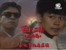Disc player DVD (Labyrinth of Destiny) Zeng Huaqian Donnie Yen Li Meixian Clear Edition 15 episodes 2 discs