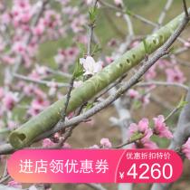 Playing beginner practice Collection of flute vertical blowjob U mouth v mouth Xiao Hole Xiao Discount Xiao Thin blowjob Musical instrument Xiao tutorial