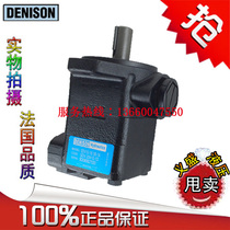 DENISON SDV10 1P7P 1P6P 1P5P 1A 1B 1C 1D Vane Pump
