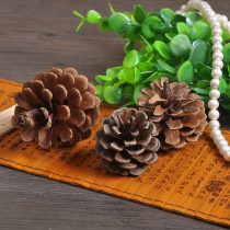 Pine ball pine cone pine cone beautiful natural Taobao jewelry retro photography props photo photo background props