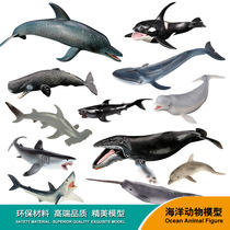 Simulation marine model animal set great white shark giant shark dolphin dolphin shark toy children solid plastic ornaments