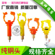 Rabbit with card Drinking water dispenser Automatic Drinking water Rabbit Water Nozzle Copper head Drinking water 46 Sub-type copper head Drinking water dispenser