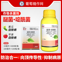BASF Tizawa Etherbosylidacil Strawberry White Powder Brown Blight Gray Mold Pesticide Fungicide 15-100ml