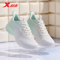 Special Step Women Shoes Running Shoes 2022 Summer New Light Casual Net Face Shoes Breathable 100 Hitch Outdoor Women Sneakers