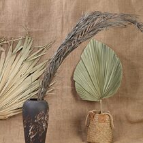 Pufan dry flower palm leaf leaf fan leaf wedding hall decorated softwarehouse decoration of the background setting