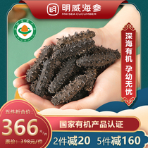 Mingwei organic light dried sea cucumber dry goods sea cucumber sea cucumber light dry 50g wild 500g dry 60 head