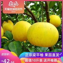 Chongqing Liangping pomelo Liangshan pomelo grapefruit flat top pomelo farmhouse picks fresh fruit in the season 10 Jin