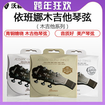 Ibanez Ebbins Ibanez Ibana Coated Folk Guitar 6 Bronze Wrap Strings Accessories Set