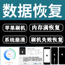 Apple mobile phone data resumes iPhone white Apple memory full update error 1110 system restart