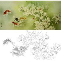 Meticulous painting white drawing draft physical hook line printing manuscript Gong Xueqing Magnolia carp Yutang beautiful XQ62