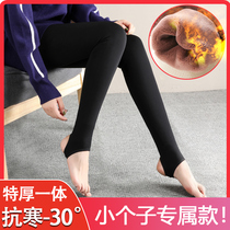 Small baby pants 150cm wear plug thicker high waist northeast cold and thick warm cotton pants are super thick
