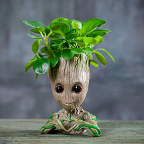 Plant small tree man Green plant potted flowers Purify the air Groot Chlorophyll potted soil cultivation Office fortune tree