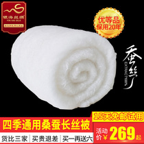  Custom silk quilt 100 mulberry silk quilt mother quilt Childrens quilt Spring and Autumn quilt air conditioning quilt double summer cool quilt core