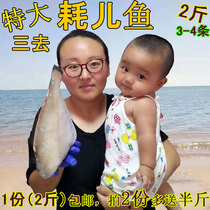 Wild fresh horseside fish rubber consumption fish skinned Wolf peeling fresh big food frozen 2kg 2-4 strips