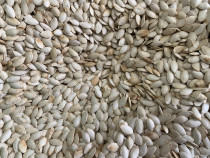 2020 new raw pumpkin seeds large pieces of shell pumpkin seeds non-cooked bulk Inner Mongolia specialty 2kg 5kg