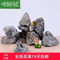 Warm e Garden moss micro landscape ecological bottled jewelry Qinglong Stone rockery stone DIY assembly ornaments