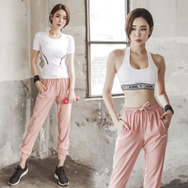 Summer fitness clothing sports suit female thin Korean quick-drying loose beginner fashion sexy professional yoga clothes