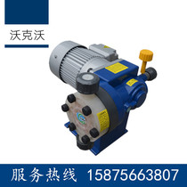 Walker Vo mechanical diaphragm metering pumps VD13 15 17 23 34 34 reverse osmosis corrosion resistant pumps