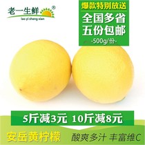 (Old one fresh) fresh Sichuan Anyue yellow lemon 500g lemon multi province Yulick yellow lemon
