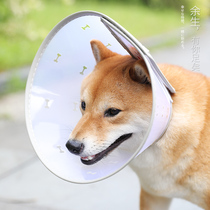 Elizabeth Circle Pets Anti Bite Anti-Licking Teddy Gold Wool Large Small Medium Dog Breathable Kitty dog Item Circle