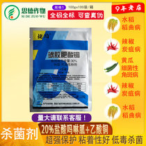 Four Friends 30% Amber Fertilitic Acid Copper Cucumber Bacterial Keratosis anthrax Anthrax Rice Disease Agricultural Fungicide Pesticide