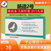 European racing pigeon vigor gray pigeon medicine (intestinal 2) powder 2G * 10 bags Salmonella intestinal Trichomonas